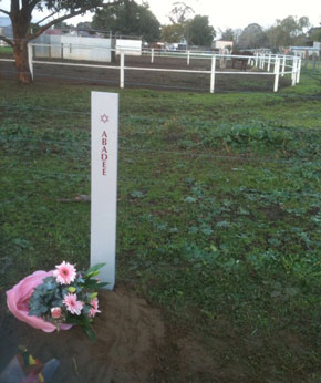 leah-grave